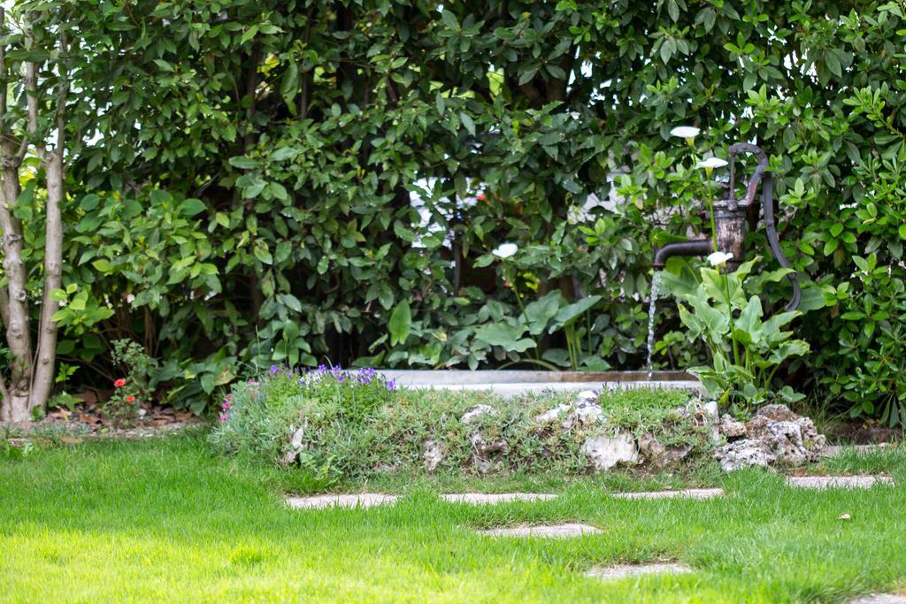 B&B Arco Di Pietra Quinto Di Treviso Luaran gambar